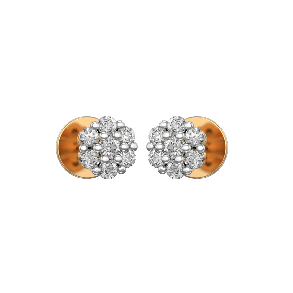 ostentatious-dazzle-earrings-er2400a-view-01